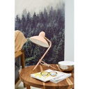 LÁMPARA DE ESCRITORIO JULIA SALMON E14 (17E-H1)